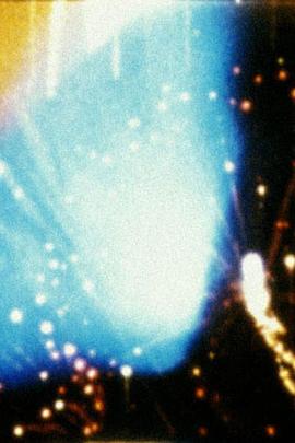 找寻蘑菇封面图