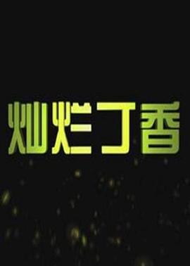 灿烂丁香封面图