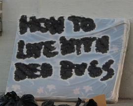 如何与螨虫共生封面图