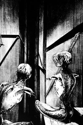 High and Heimkiller封面图